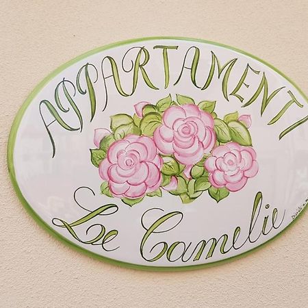 Le Camelie -Appartamenti Nuovi Porto SantʼElpidio Exterior foto